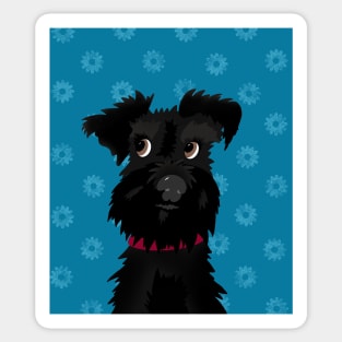 Black Miniature Schnauzer Dog with Blue Daisies Sticker